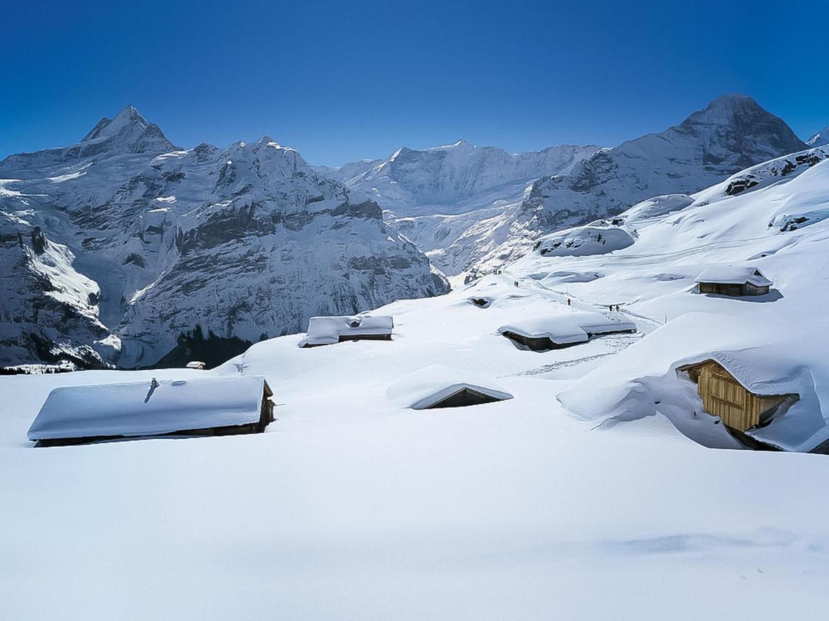 Engelshues By Interhome Appartamento Grindelwald